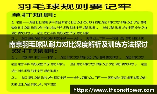 南京羽毛球队耐力对比深度解析及训练方法探讨