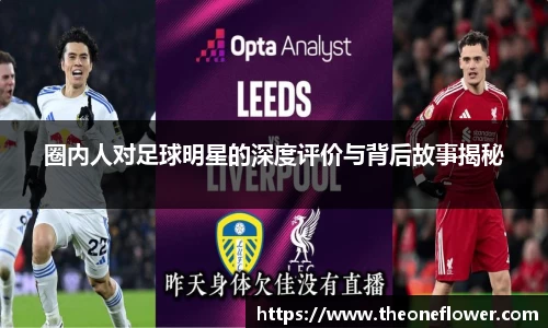 圈内人对足球明星的深度评价与背后故事揭秘